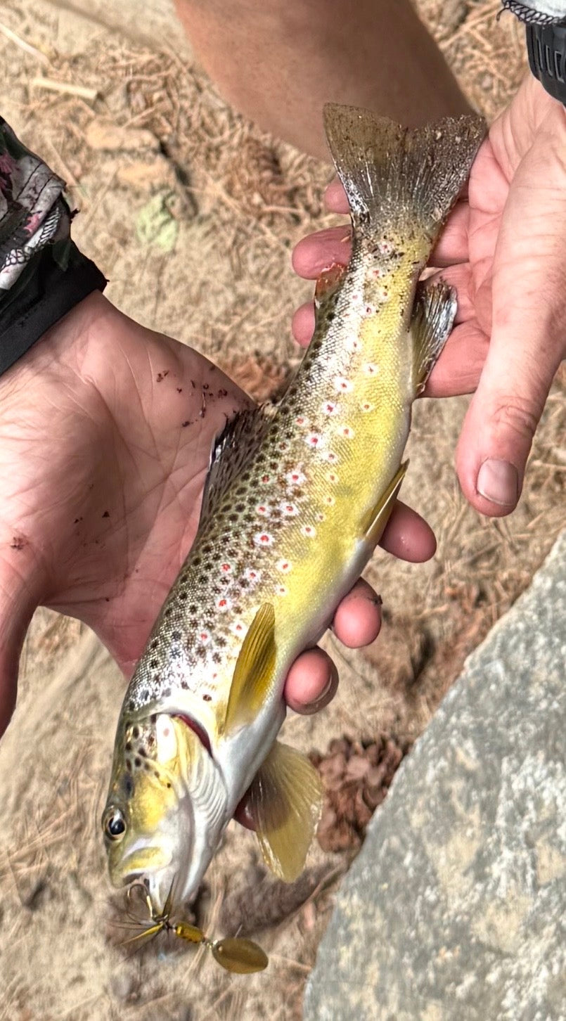 Hike N’ Hook Trek Poles (Reel Included)