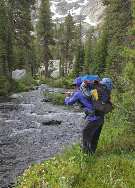 Hike N’ Hook Trek Poles (Reel Included)