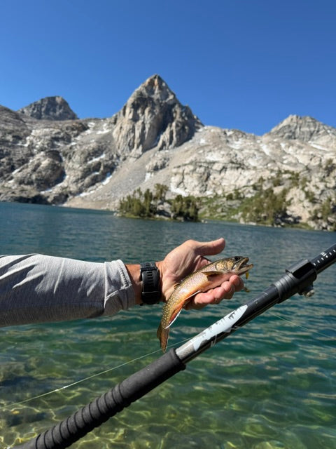 Hike N' Hook Trek Poles (Reel Included)